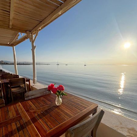 Hotel Lido Beach Hyères Zewnętrze zdjęcie