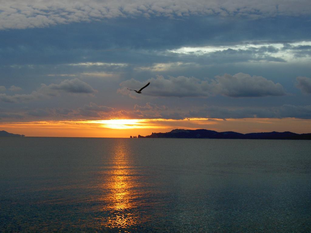 Hotel Lido Beach Hyères Zewnętrze zdjęcie